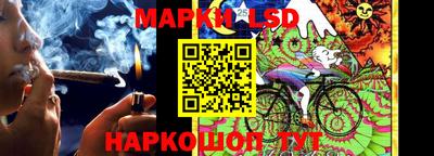 apvp Кунгур