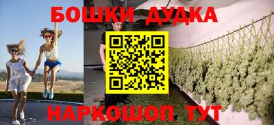 индика Кулебаки