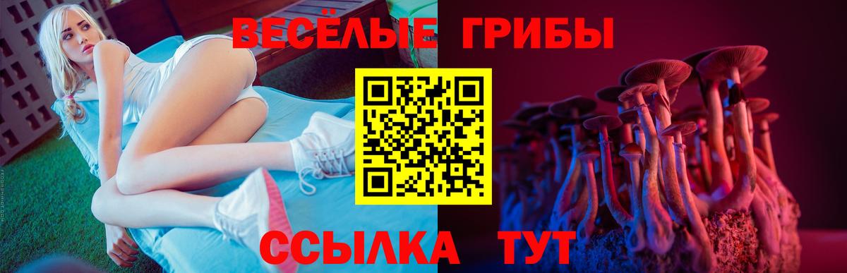 цена наркотик  Псилоцибиновые грибы мухоморы  Вход с VPN  Верхний Уфалей 
