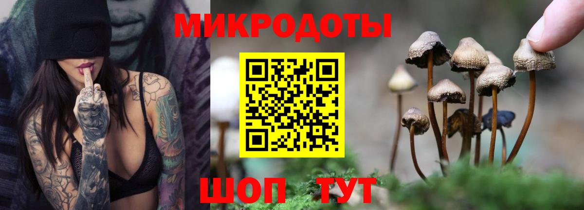 Галлюциногенные грибы Psilocybine cubensis Верхний Уфалей